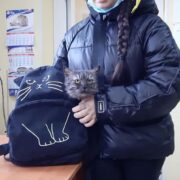 Бостон