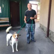 Веленсия