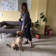 Гас, Даня, Сеня, Кекс, Тая, Жук, Жучка, Оскар, Вера и Зефир6