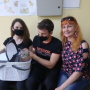 Мелисса