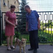 Сима