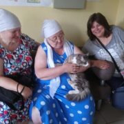 котик2