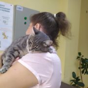 Митяй