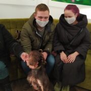 Дайкири