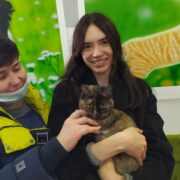Корица2