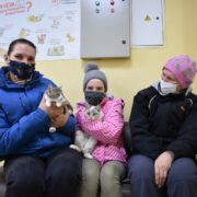 Мейсона и Нивана