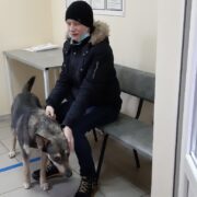 Чаки