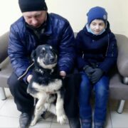Вольт2