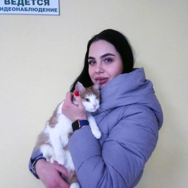 Кристи