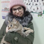Ромашка
