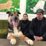 Саймон