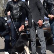 Тофик2