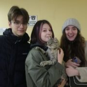 Харли